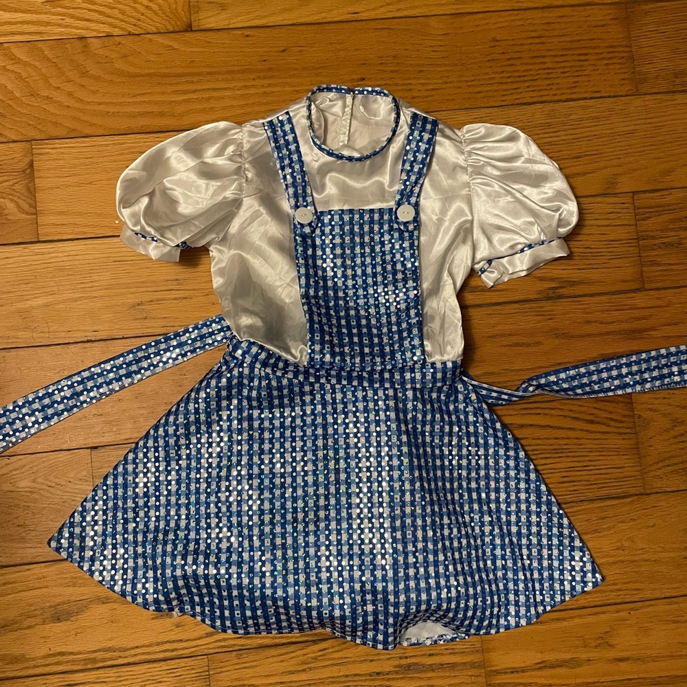 Girls size 8 10 Dorothy Wizard of Oz costume